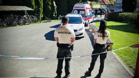 Žák (13) útočil na základní škole ve Staškově.