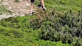 Muž vyrazil do Tater na jednokolce.