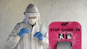 Testování na koronavirus na Slovensku (31. 10. 2020)