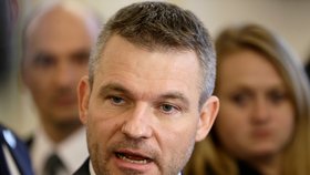 Peter Pellegrini, vicepremiér slovenské vlády, nahradil Fica.