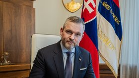 Slovenský expremiér Peter Pellegrini