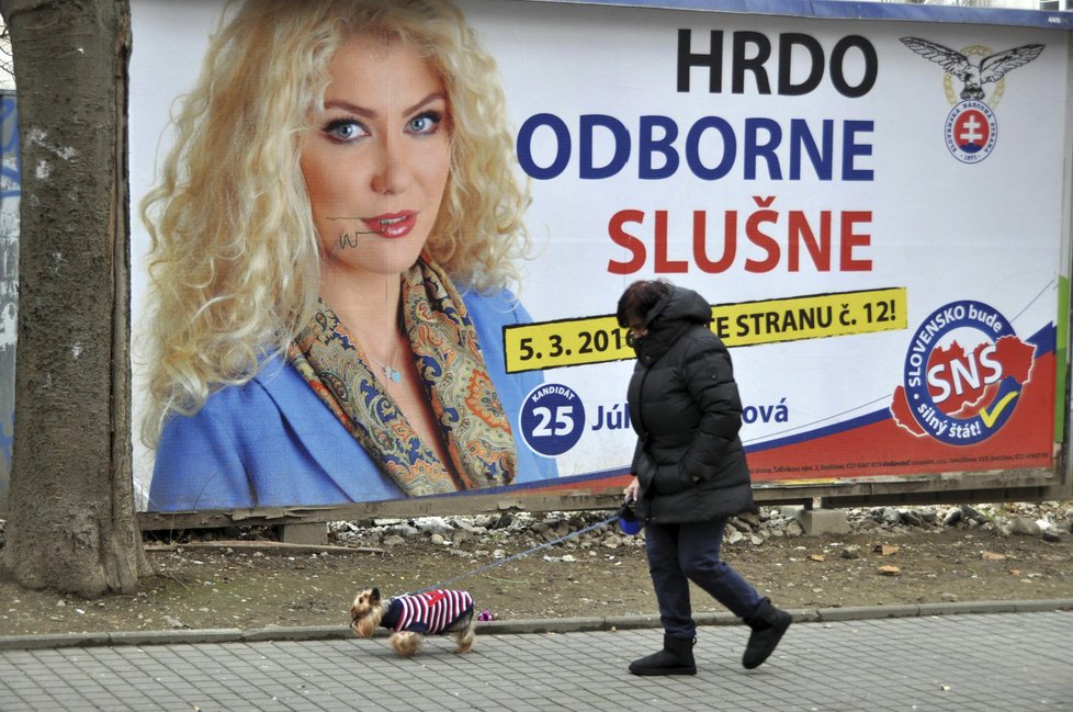 Od čtvrtka se na Slovensku agitovat nesmí. Takhle vypadá jeden z billboardů Slovenské národní strany.