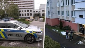 Policisté zasahovali v bytovce.