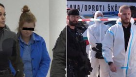 Žena na Slovensku ubodala kamaráda, soud ji poslal na 14 let do vězení, rozsudek zatím není pravomocný.