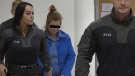 Žena na Slovensku ubodala kamaráda, soud ji poslal na 14 let do vězení, rozsudek zatím není pravomocný.