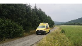 9 lidí včetně 7 dětí utrpělo zranění při výbuchu plynu na chatě ve slovenské obci Lehota pod Vtáčníkom. (25. 7. 2023)