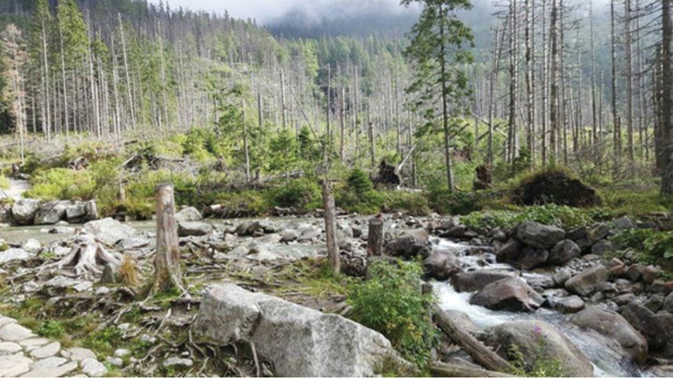 Vysoké Tatry