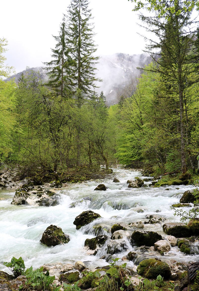 Bohinj