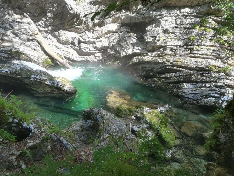 Ač je v soutěsce místy dost hluboko, voda je tak čistá, že vidíte až na dno