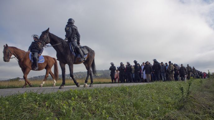 Chorvatská policie vede další skupinu uprchlíků na slovinské hranice