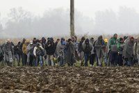 Bití, střelba a rozzuření psi. Bulharská policie prý udeřila na migranty