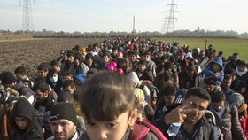 Desetitisíce migrantů proudí na západ Evropy.