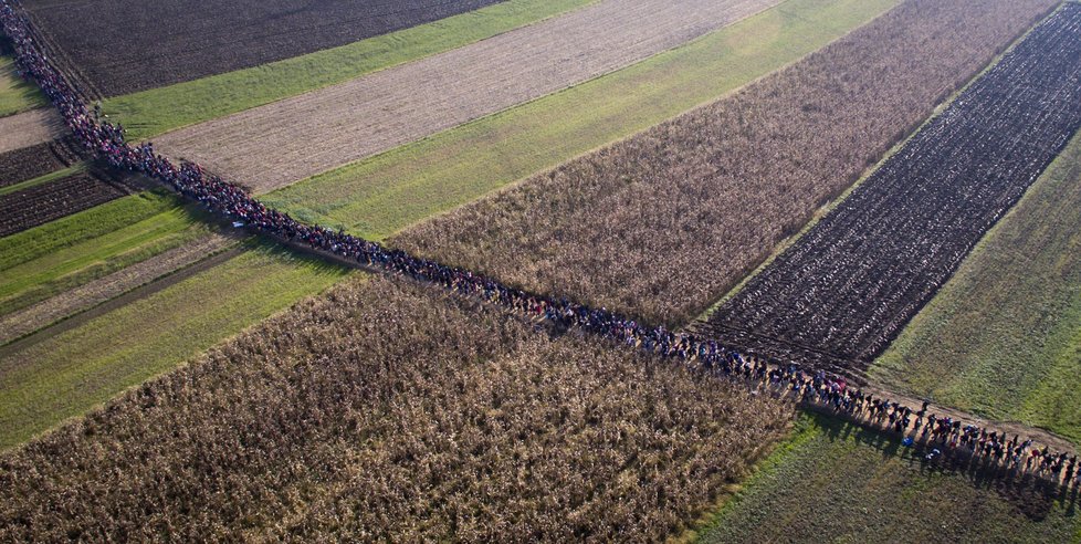 Desetitisíce migrantů proudí Slovinskem na západ Evropy.