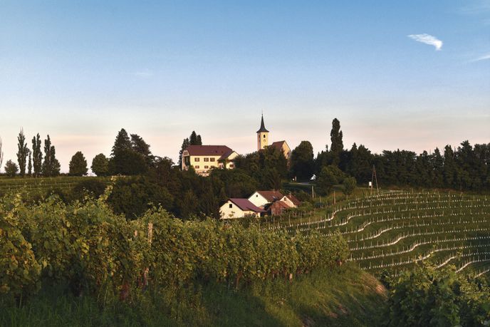Východní Slovinsko je známé dobrými víny. Nejkvalitnější vznikají kolem vesnice Jeruzalém.