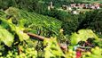 Slovinsko se pyšní hned třemi vinařskými regiony