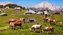 Velika Planina, která se už stovky let využívá jako pastva pro dobytek, je bezesporu jedno z nejhezčích míst ve Slovinsku