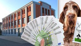 Institut získal 65 milionů z EU. Teď je před krachem.