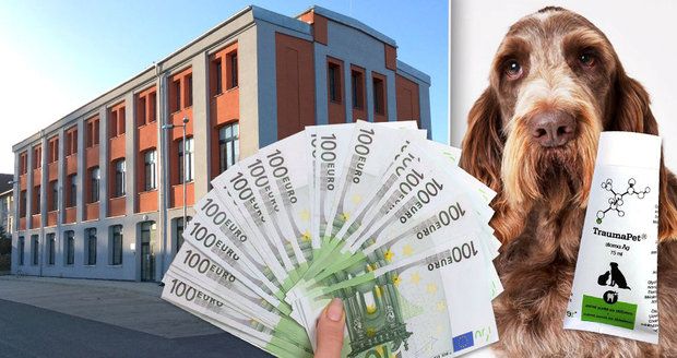 Zubní pasta pro psy za 65 milionů: Institut spolkl dotaci z EU a je před krachem