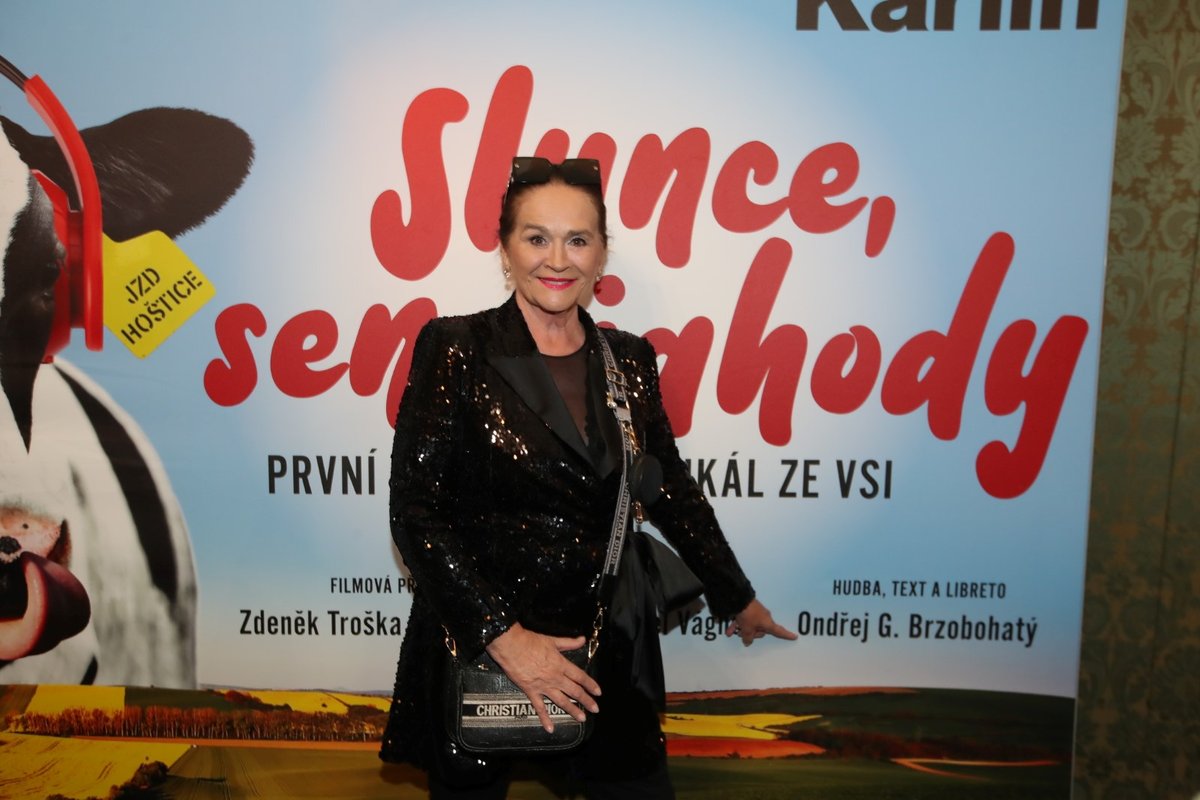 Premiéra muzikálu Slunce, seno, jahody: Hana Gregorová