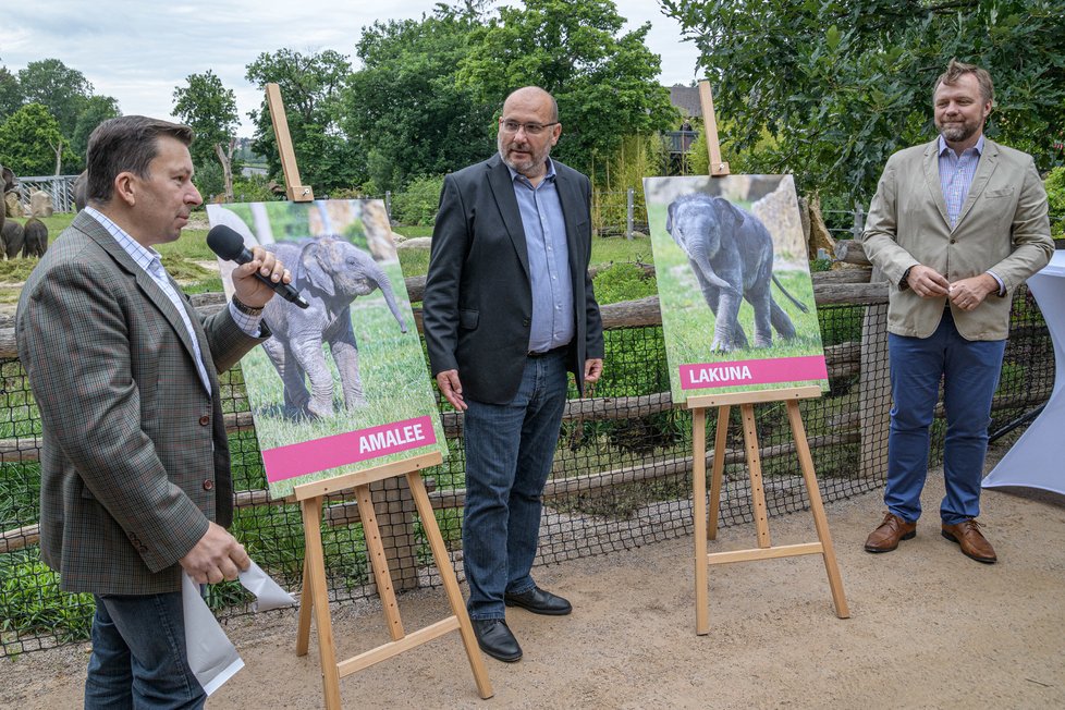 Starší slůně (vpravo) dostalo jméno Lakuna, v&nbsp;sinhálštině „Znamení“. V&nbsp;hlasování chovatelů o jméno pro mladší slůně (vlevo) vyhrála Amalee.