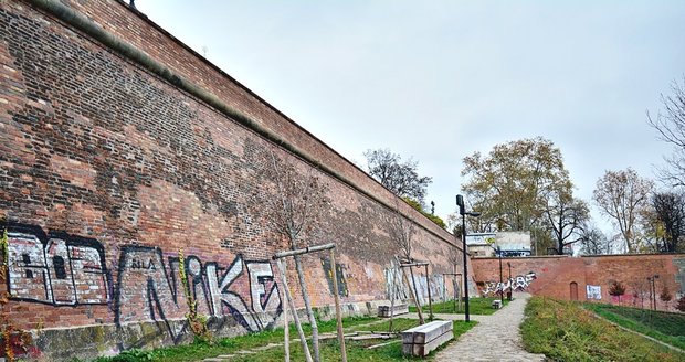 Vandalové poničili stromy ve Folimance.