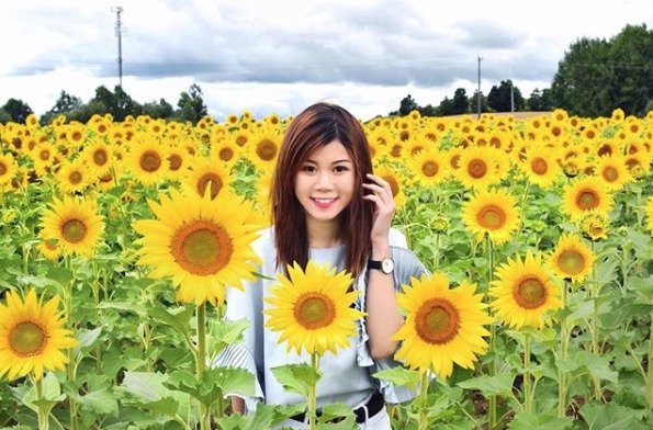 Rozkvetlé slunečnicové pole přilákalo tisíce lidí. Při honbě za fotkami poškodili květiny a zablokovali přilehlé silnice.