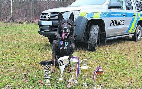 Byl úspěšný nejen ve službě, ale také během mezinárodních a domácích policejních soutěží.