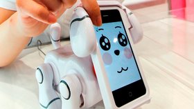 SmartPet vyhrál na tokijské výstavě cenu za nejvíc inovativní hračku