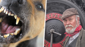 Veterináře v důchodu rozsápala smečka osmi psů na jeho vlastní zahradě.