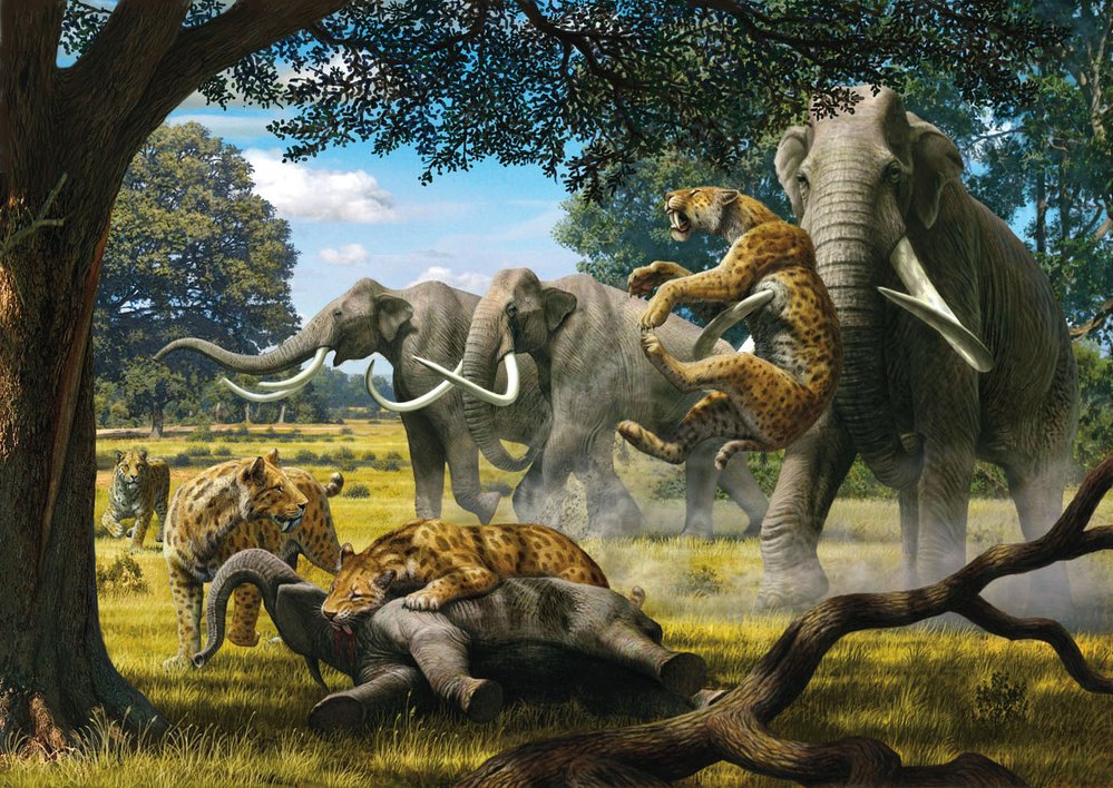 Kořistí smilodonů se stávala i mláďata obrovských mamutů kolumbuských