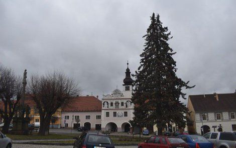 Z jedné strany vypadá stále dobře. Sošný, rovný smrk v centru Volyně...