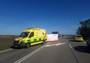 Motorkář nepřežil v neděli odpoledne na vrcholu slavkovského kopce na silnici I/50 po srážce s dodávkou, která se ocitla v protisměru. Místo zůstalo více než čtyři hodiny uzavřené.