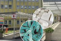 Tomáš zemřel po konzumaci ovčího sýra: Zabila ho smrtící bakterie! Šokující slova syna