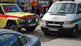 Policie ČR