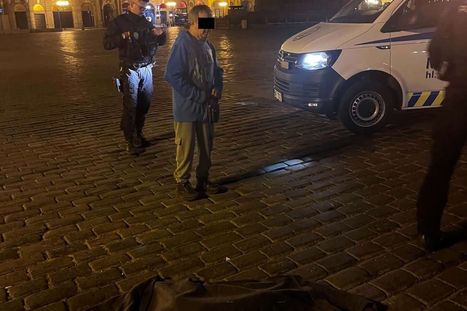 Obrázek: Policie řeší případ mrtvého psa na Staromáku: Děsivé svědectví!