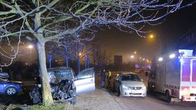 Tragédie ve Znojmě: Řidič se řítil vysokou rychlostí, naboural do stromu a zemřel