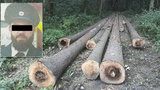 Mladého tatínka Iva zabil padající strom! Dalšího muže zavalily dvě tuny dřevotřísky