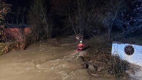 Tři ženy pravděpodobně utonuli při záchraně psů z útulku!