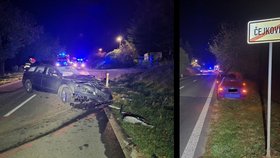 Ve čtvrtek 28. října před 22. hodinou nepřežil mladý řidič u Čejkovic náraz do stromu.