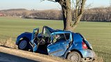 Tragédie u Znojma: Dvě ženy zemřely po nárazu do stromu! Auto "uklouzlo"