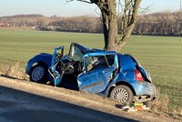 Tragédie u Znojma: Dvě ženy zemřely po nárazu do stromu! Auto "uklouzlo"