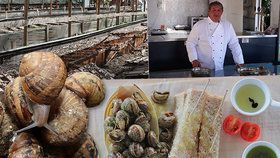 Roman Khusnutdinov stojí v čele ojedinělé restaurace, která se specializuje výhradně na šneky. Těch chová přímo před jejím vchodem neuvěřitelná kvanta.