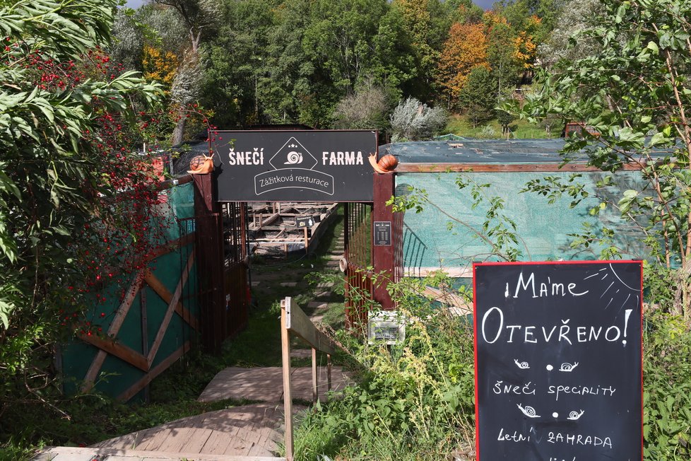 V Dolních Chabrech funguje mimo jiné Šnečí farma. K nalezení je na západním okraji městské části, zhruba pět minut chůze od autobusového obratiště Dolní Chabry směrem k Drahani.