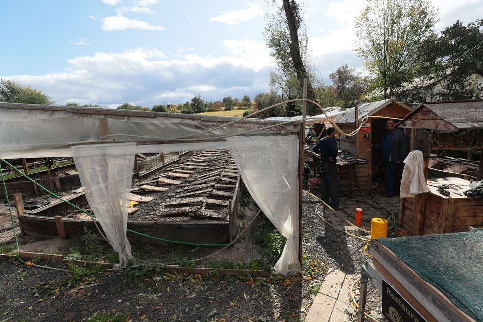 Šnečí farma v Dolních Chabrech funguje třetím rokem. Začátky prý nebyly nic moc, dnes ale prosperuje a rozvíjí se.