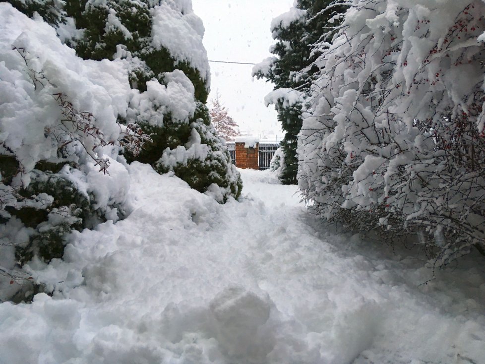 Jižní Moravu zasáhla v noci na pondělí sněhová kalamita.