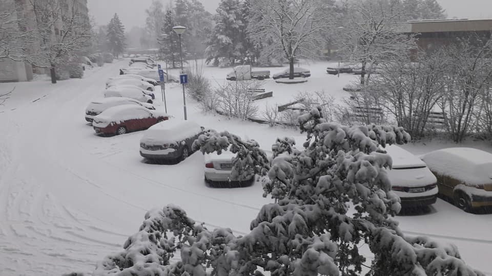 Sněhová peřina neminula v pondělí ani brněnskou čtvrť Lesná.