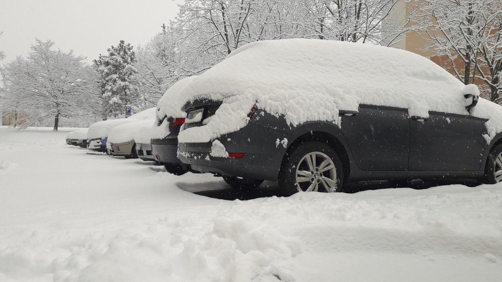 Sněhová peřina neminula v pondělí ani brněnskou čtvrť Lesná.