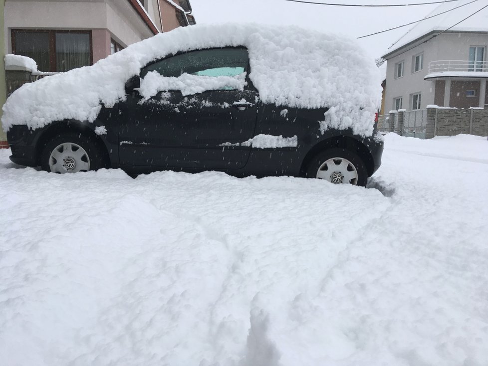 Jižní Moravu postihla v pondělí sněhová kalamita.