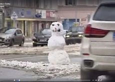 Sněhulák na Vinohradské bavil řidiče od rána.