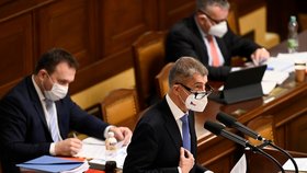 Jednání Sněmovny o energiích: Expremiér Andrej Babiš (ANO) (17.2.2022)